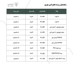 راهنمای ریسه های لاین نوری