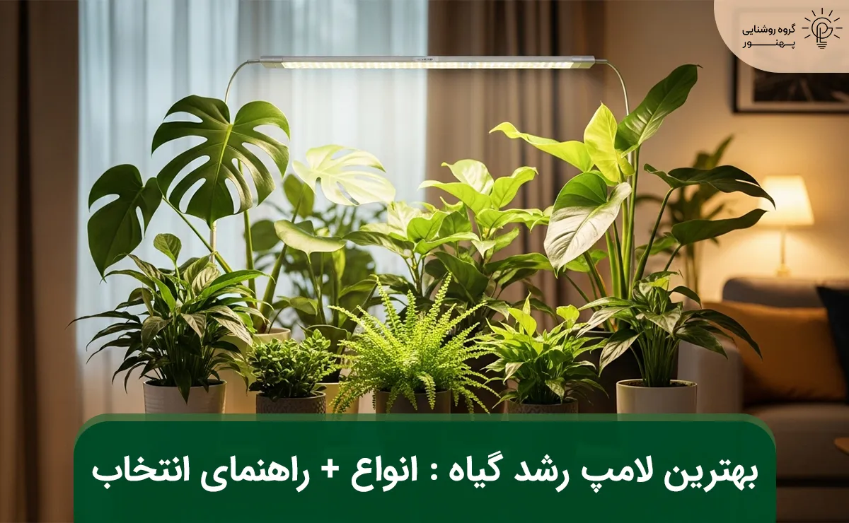 بهترین لامپ رشد گیاه