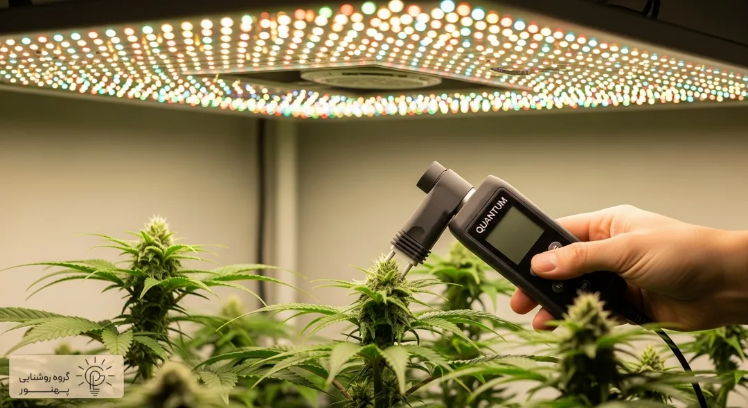 لامپ مخصوص گیاه