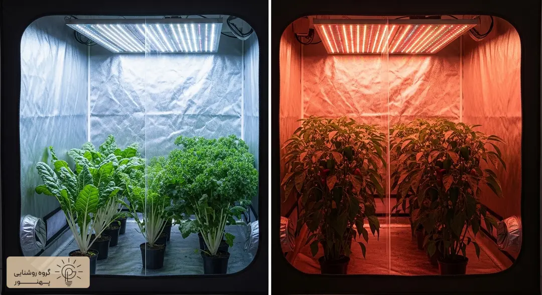 لامپ های رشد گیاه
